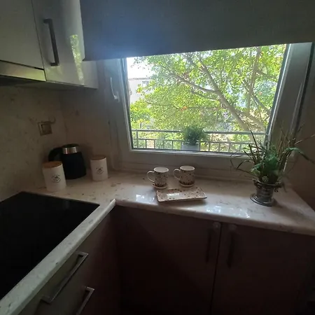 Apartment Vaios House