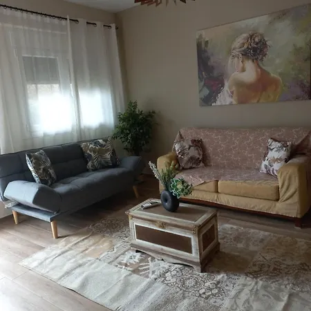Apartament Vaios House