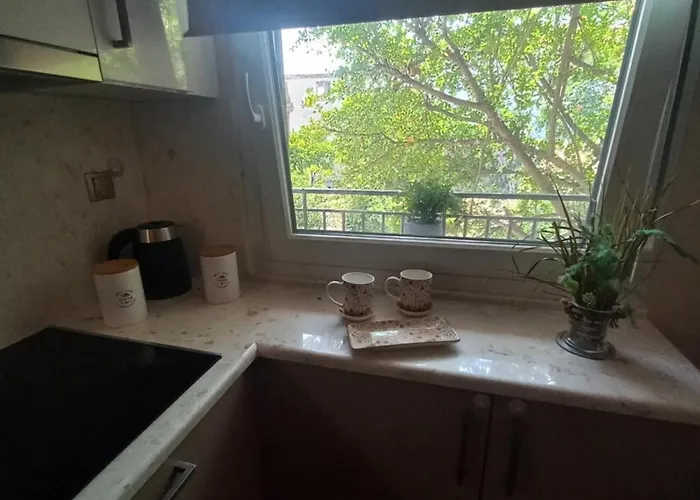 Appartamento Vaios House